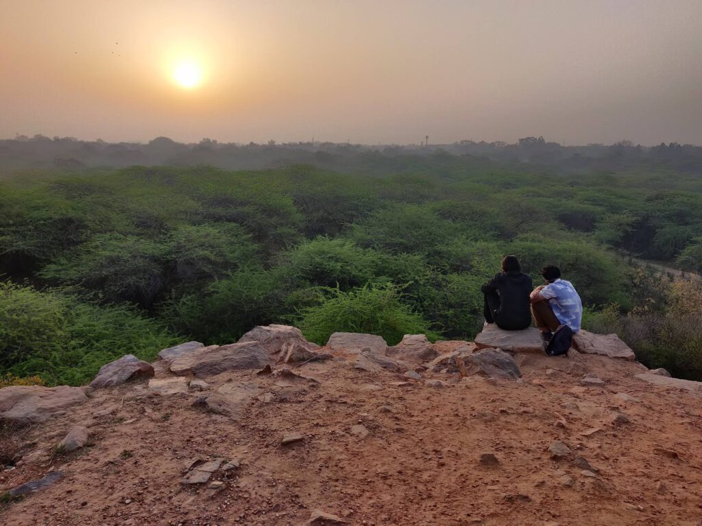 Fun Things to Do in Delhi