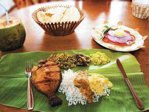 Best Travel Destinations in Kerala