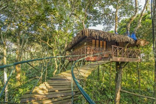 Best Travel Destinations in Kerala