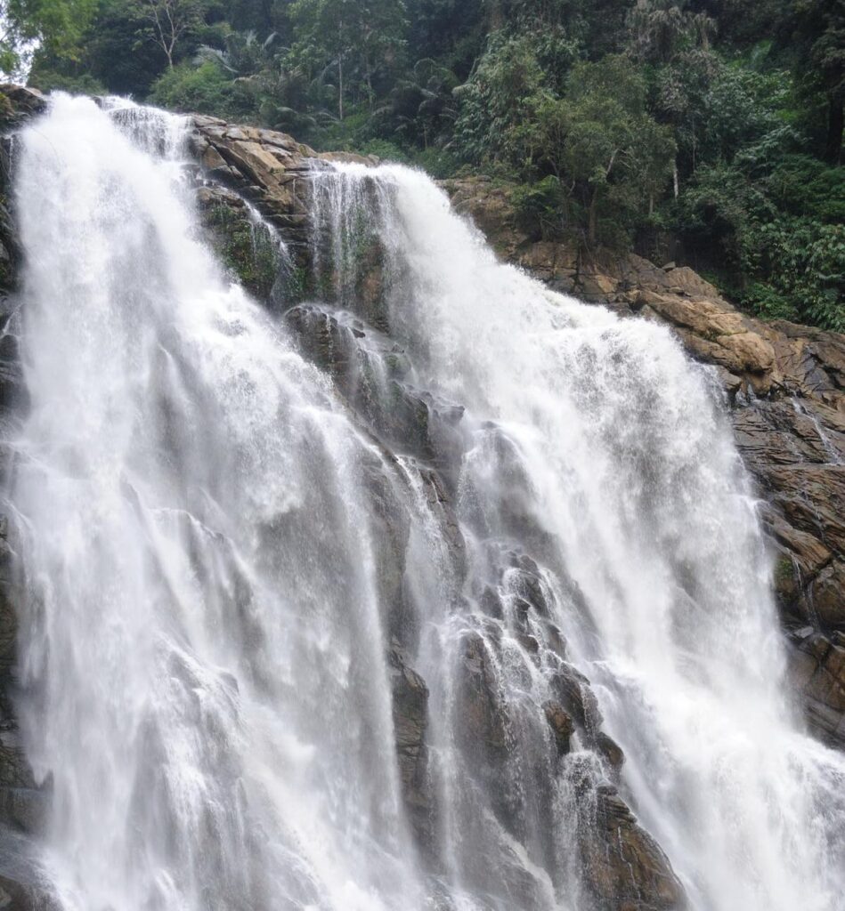 Best Travel Destinations in Kerala