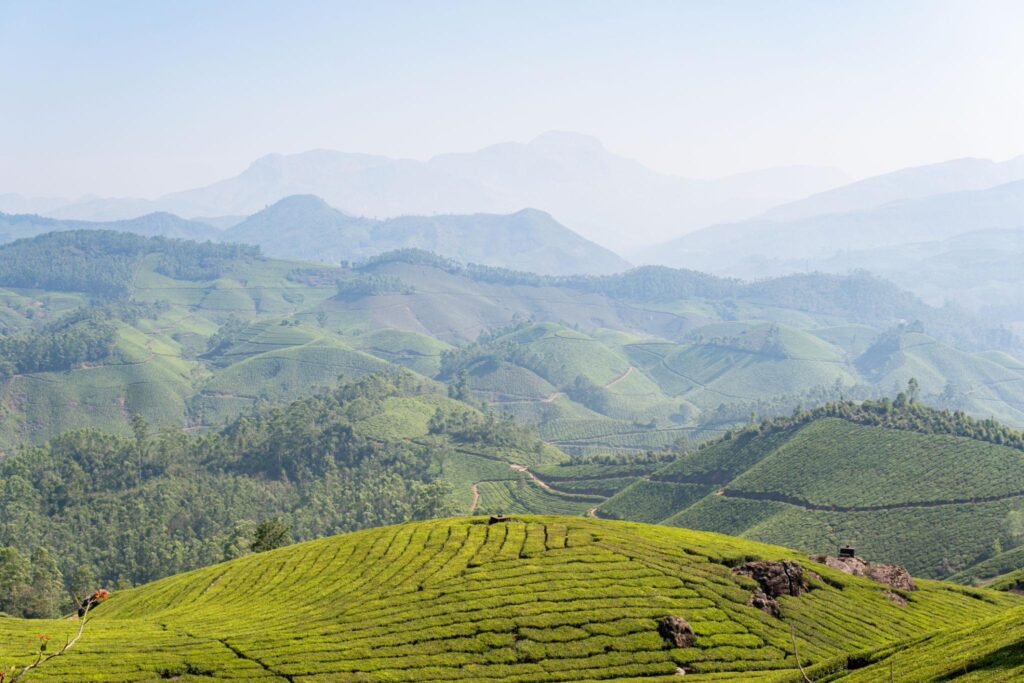 Best Travel Destinations in Kerala