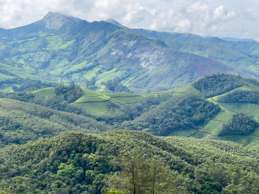 Best Travel Destinations in Kerala