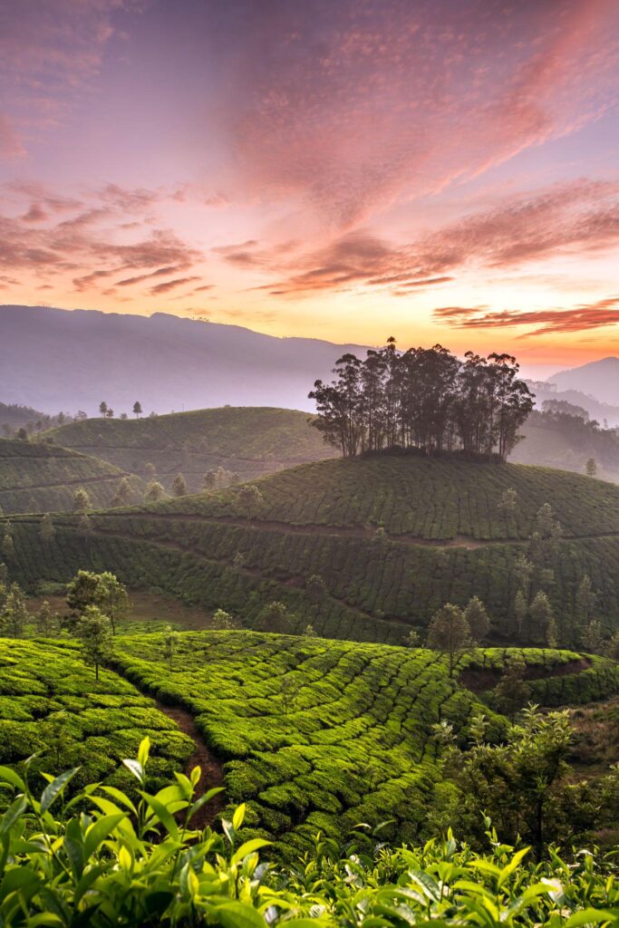 Best Travel Destinations in Kerala