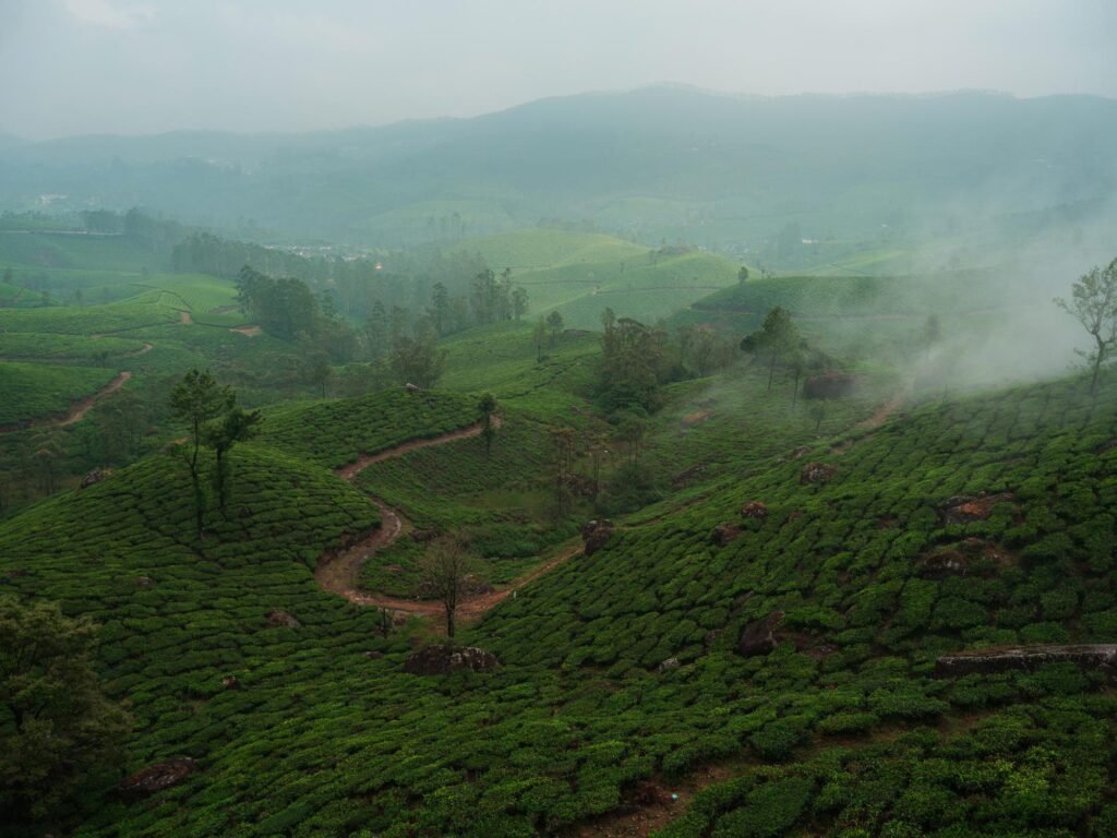 Best Travel Destinations in Kerala