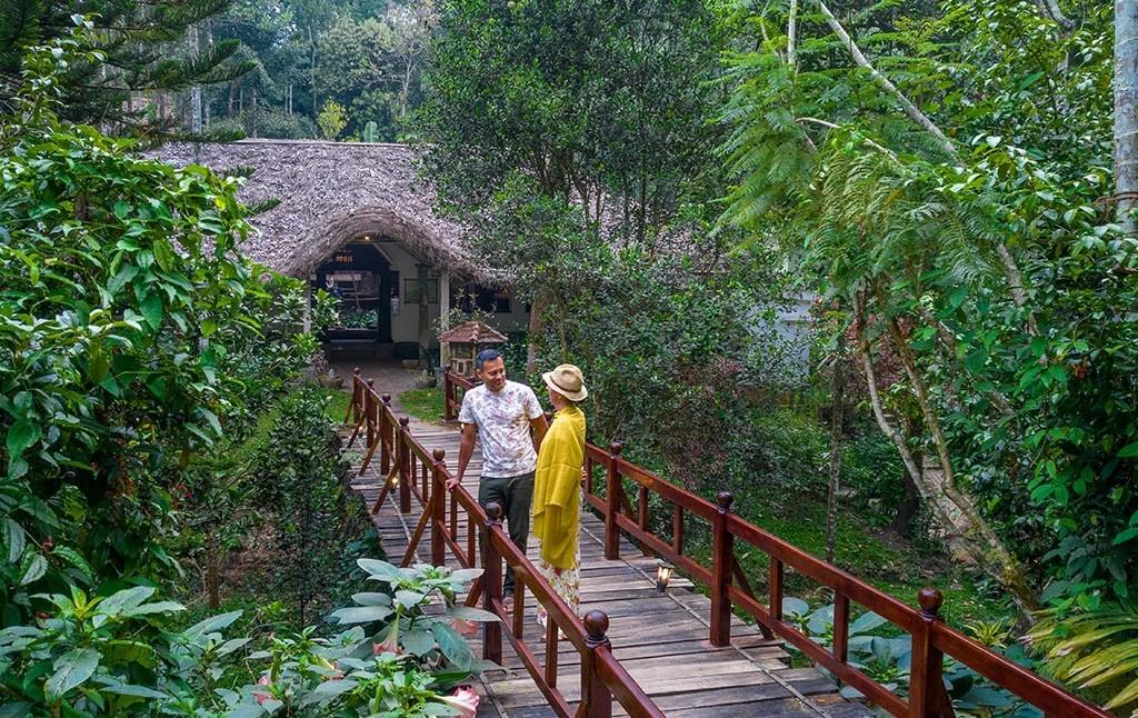 Best Travel Destinations in Kerala