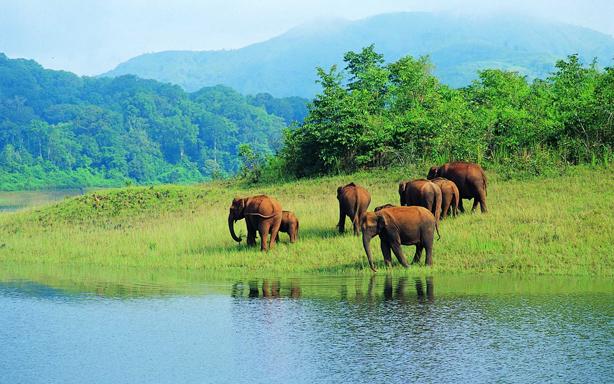 Best Travel Destinations in Kerala