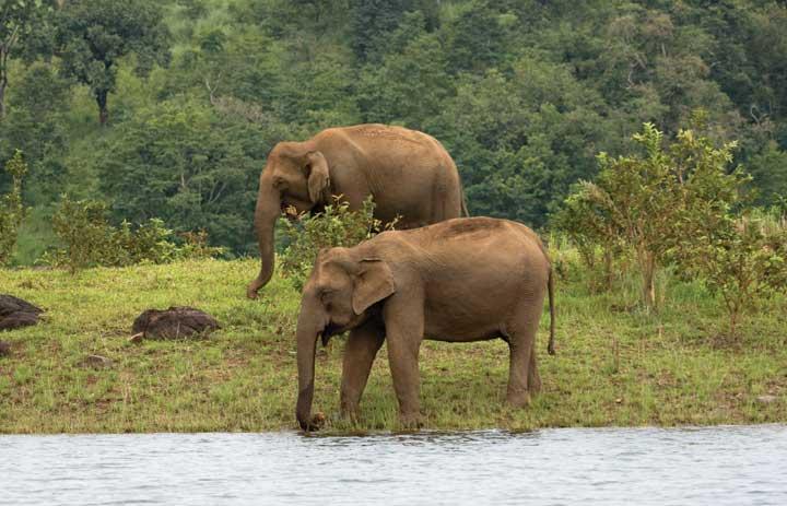 Best Travel Destinations in Kerala